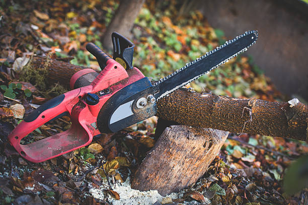 Best Seasonal Cleanup (Spring/Fall)  in Ladysmith, WI